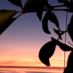 アパートホテル White 4*