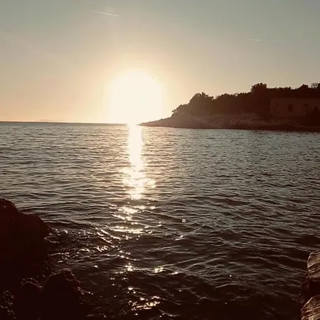 White * Himare