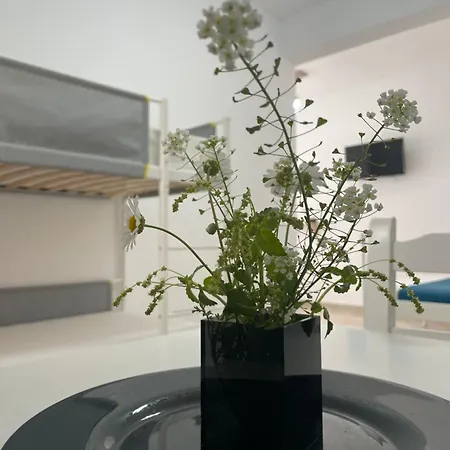 公寓式酒店 White 希马拉